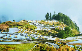 元阳哈尼梯田风光