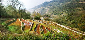 元阳哈尼梯田风光