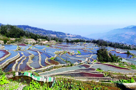 元阳哈尼梯田风光