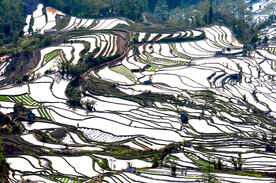 元阳哈尼梯田风光