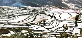 元阳哈尼梯田风光