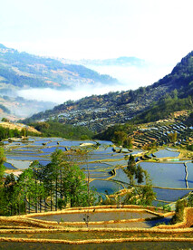 元阳哈尼梯田风光