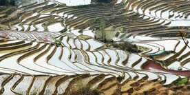 元阳哈尼梯田风光