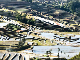 元阳哈尼梯田风光