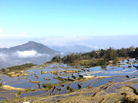 元阳哈尼梯田风光