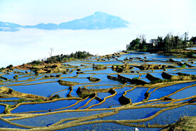 元阳哈尼梯田风光