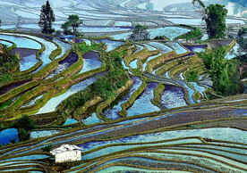 元阳哈尼梯田风光