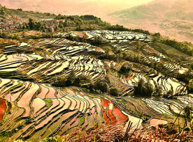 元阳哈尼梯田风光