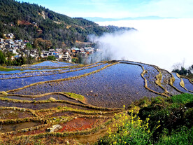 元阳哈尼梯田风光