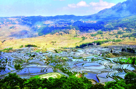 元阳哈尼梯田风光