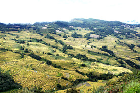 元阳哈尼梯田风光