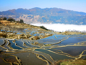元阳哈尼梯田风光