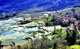 元阳哈尼梯田风光