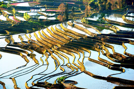 元阳哈尼梯田风光