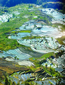 元阳哈尼梯田风光