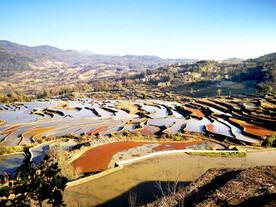 元阳哈尼梯田风光