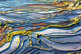 元阳哈尼梯田风光