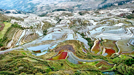 元阳哈尼梯田风光