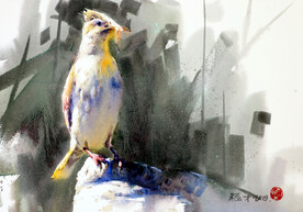 水彩鸟
