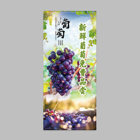 葡萄阳光玫瑰紫葡萄易拉宝