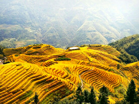 龙胜龙脊梯田风光