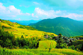 龙胜龙脊梯田风光