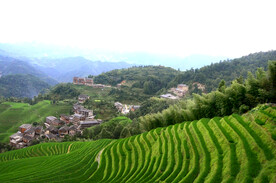 龙胜龙脊梯田风光
