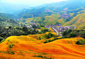 龙胜龙脊梯田风光