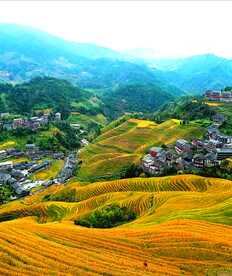 龙胜龙脊梯田风光