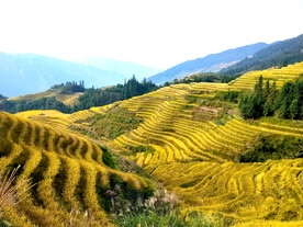 龙胜龙脊梯田风光