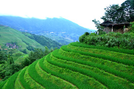 龙胜龙脊梯田风光