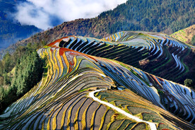 龙胜龙脊梯田风光