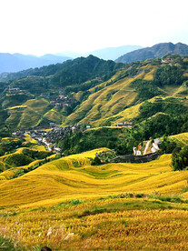 龙胜龙脊梯田风光
