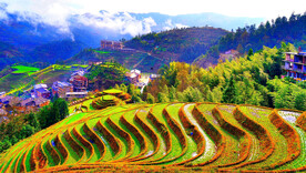 龙胜龙脊梯田风光
