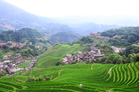 龙胜龙脊梯田风光