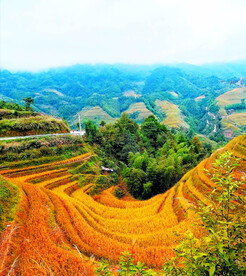 龙胜龙脊梯田风光