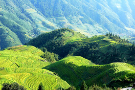 龙胜龙脊梯田风光