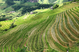 龙胜龙脊梯田风光