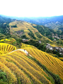 龙胜龙脊梯田风光