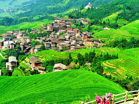 龙胜龙脊梯田风光