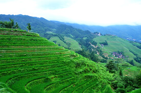 龙胜龙脊梯田风光