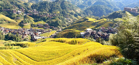 龙胜龙脊梯田风光