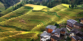 龙胜龙脊梯田风光