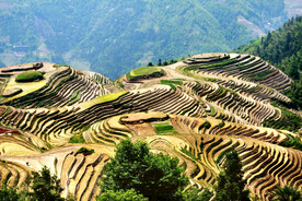 龙胜龙脊梯田风光