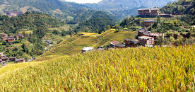 龙胜龙脊梯田风光