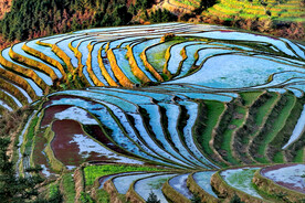 龙胜龙脊梯田风光
