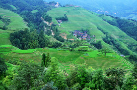 龙胜龙脊梯田风光