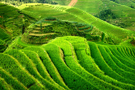 龙胜龙脊梯田风光