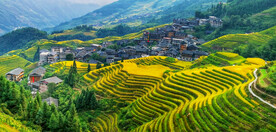 龙胜龙脊梯田风光