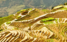 龙胜龙脊梯田风光